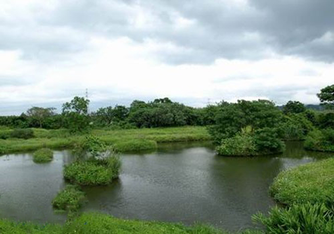 農(nóng)村生活污水處理